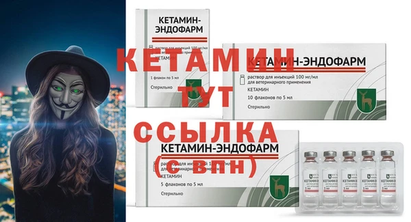 твердый Бородино