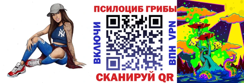 Псилоцибиновые грибы Cubensis  Купить  Щёкино 